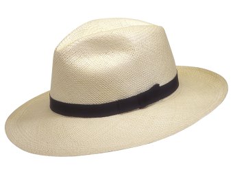 (image for) Roll up Panama