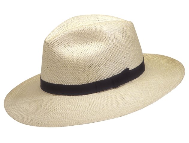 (image for) Roll up Panama